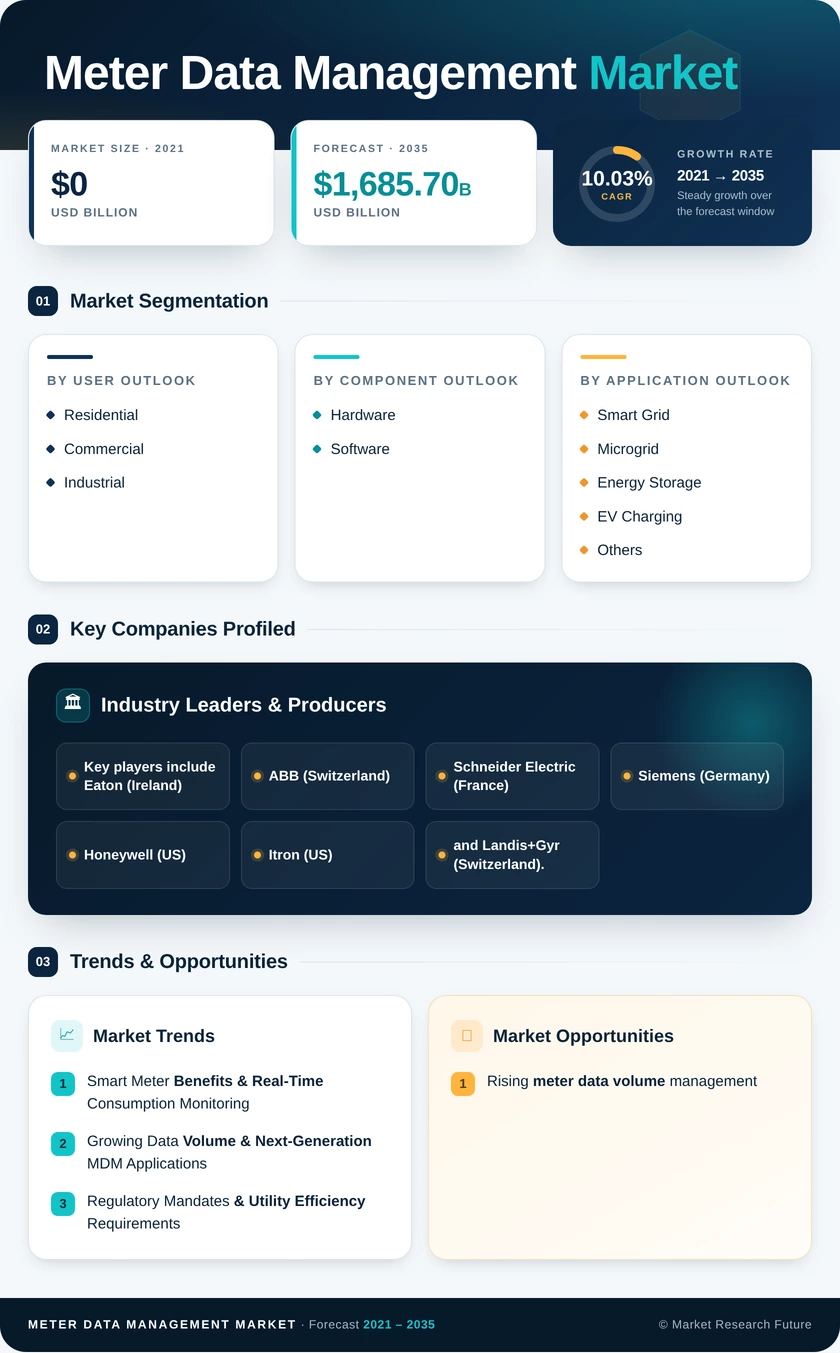 Meter Data Management Market Global Research Report - Forecast till 2035 Infographic