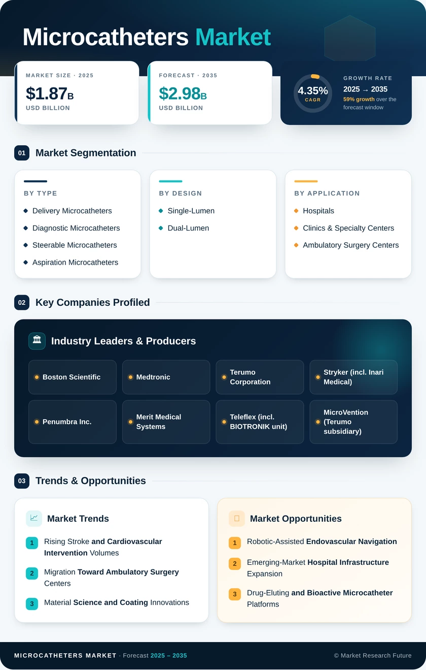 Microcatheters Market Research Report—Global Forecast till 2035 Infographic