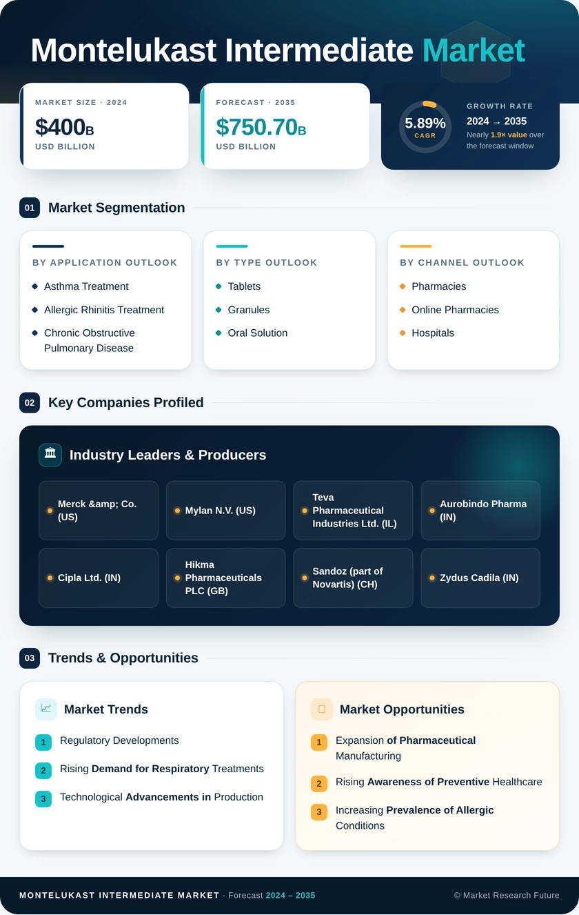 Montelukast Intermediate Market Research Report - Forecast till 2035 - Market Research Future Infographic