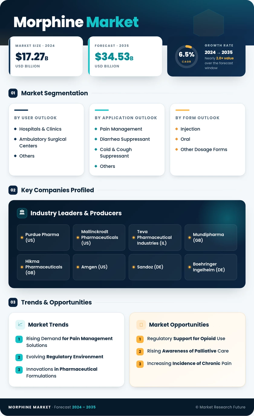 Morphine Market Research Report—Global Forecast till 2035 Infographic