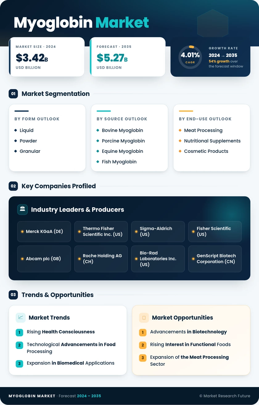 Myoglobin Market Research Report-Forecast till 2035 Infographic