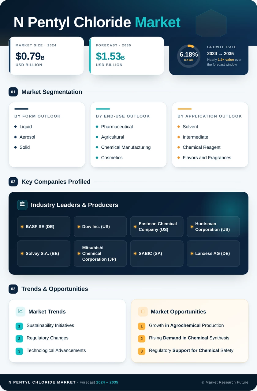 N-Pentyl Chloride Market Research Report- Global Forecast till 2035 Infographic