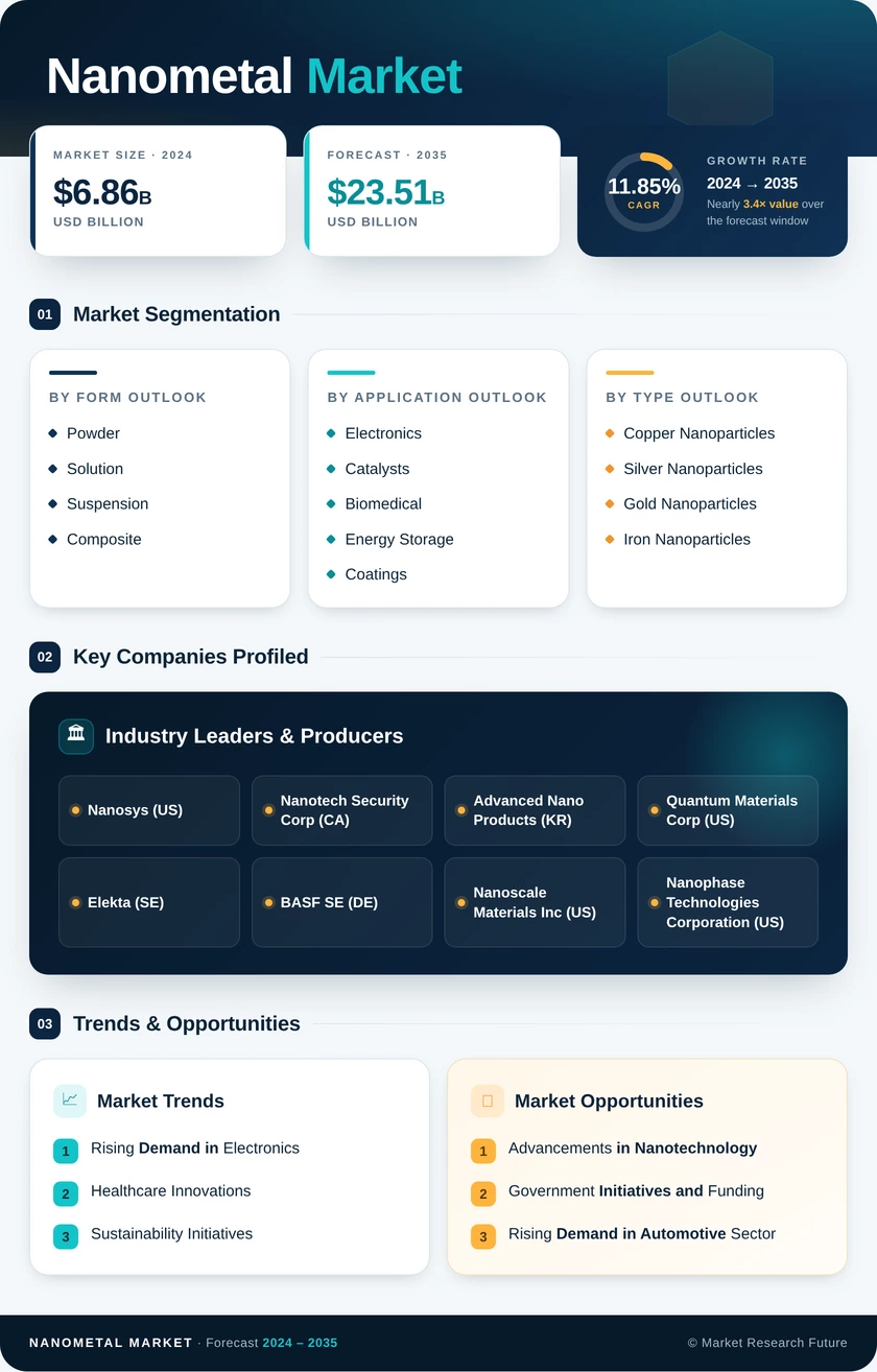 Nanometal Market Research Report - Global Forecast till 2035 Infographic