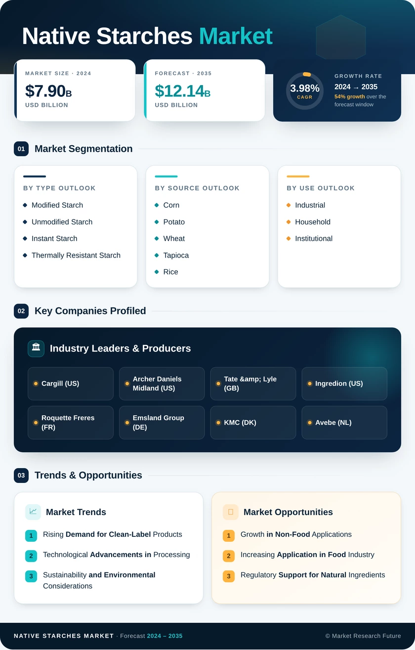 Native Starches Market Research Report - Forecast to 2035 Infographic