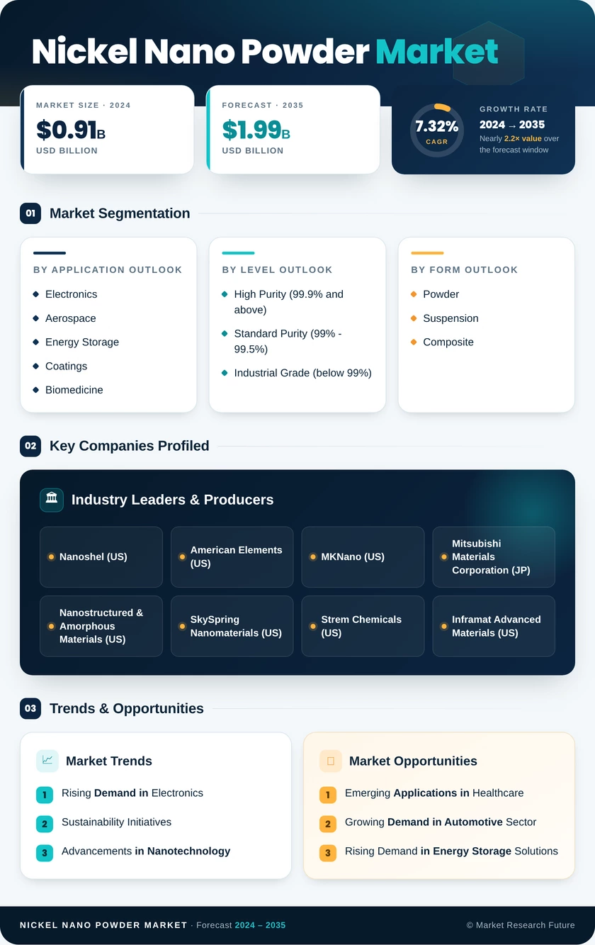 Nickel Nano Powder Market Research Report - Global Forecast by 2035 Infographic