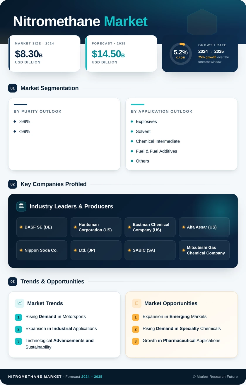 Nitromethane Market Research Report - Global Forecast by 2035 Infographic
