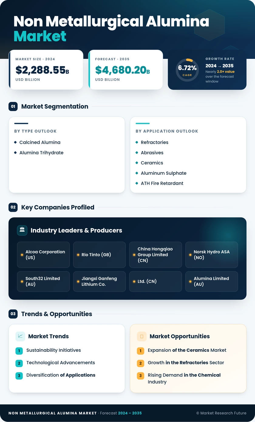 Non-Metallurgical Alumina  Market Research Report—Global Forecast till 2035 Infographic