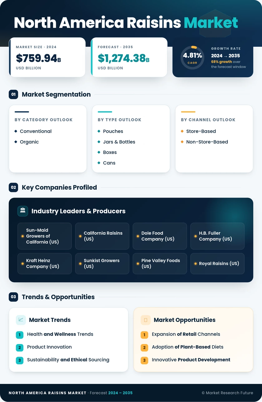 North America Raisins Market Research Report - Forecast Till 2035 Infographic