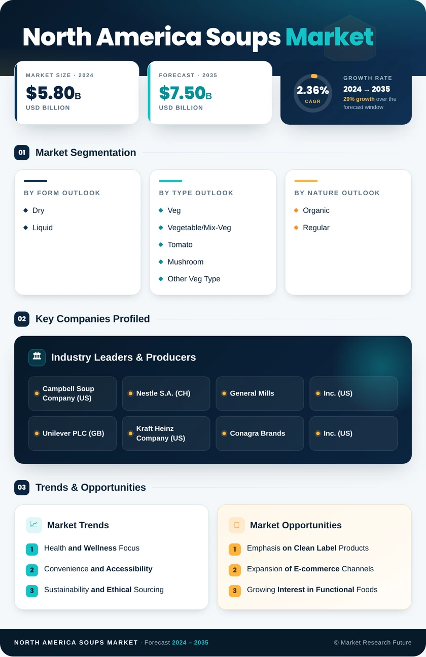North America Soups Market Infographic