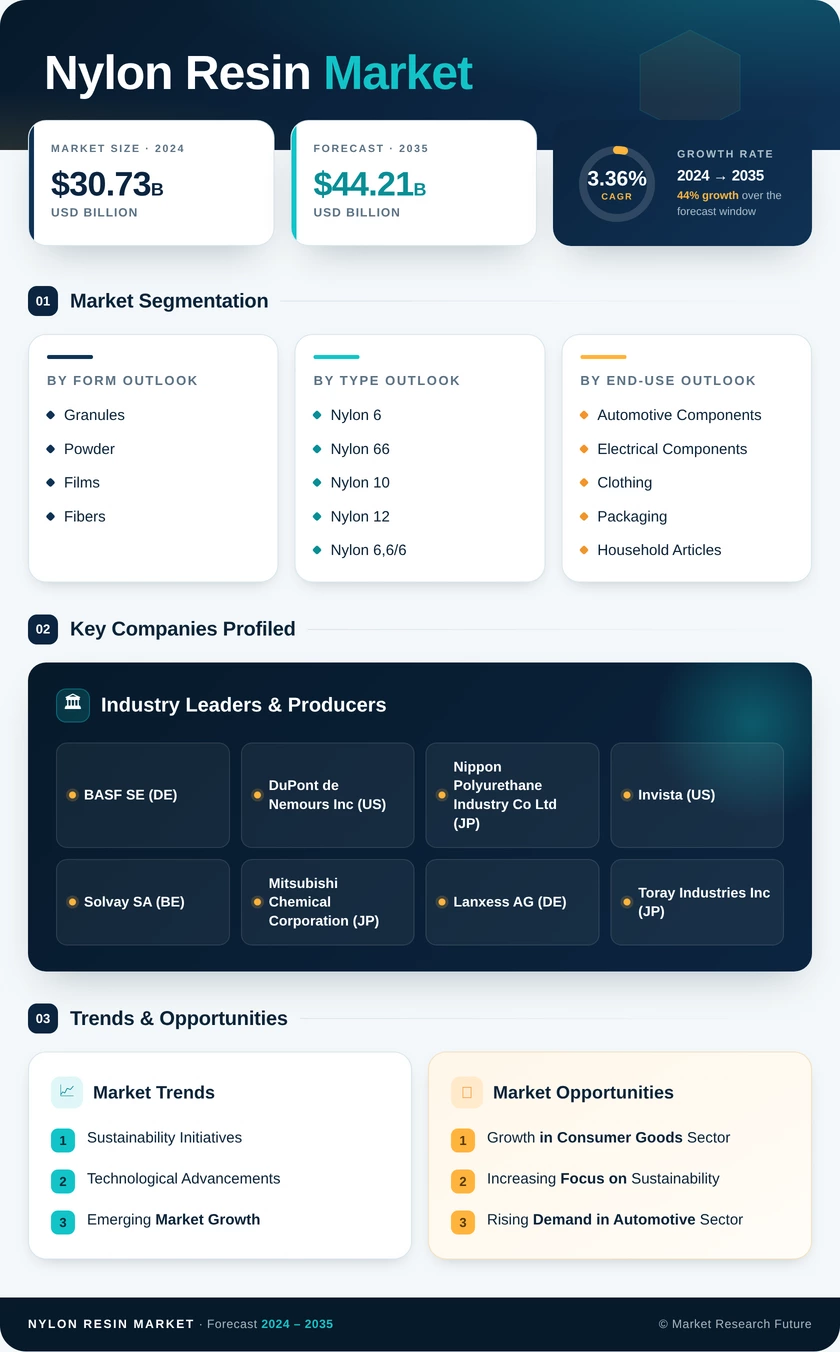 Nylon Resin Market Research Report- Global Forecast till 2035 Infographic