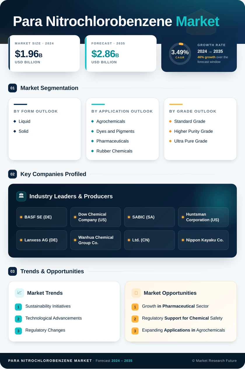 Para-Nitrochlorobenzene Market Research Report — Global Forecast till 2035 Infographic
