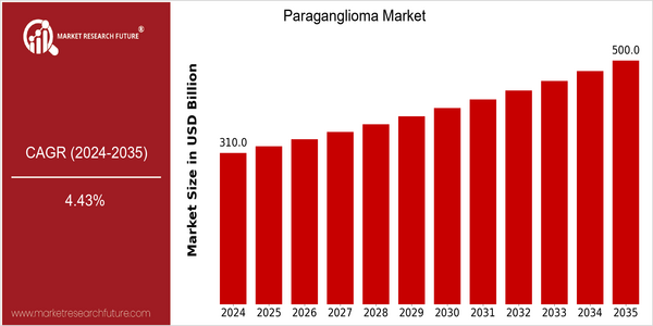 home-ubuntu-www-mrf_ne_design-batch-4-cp-paraganglioma-market size