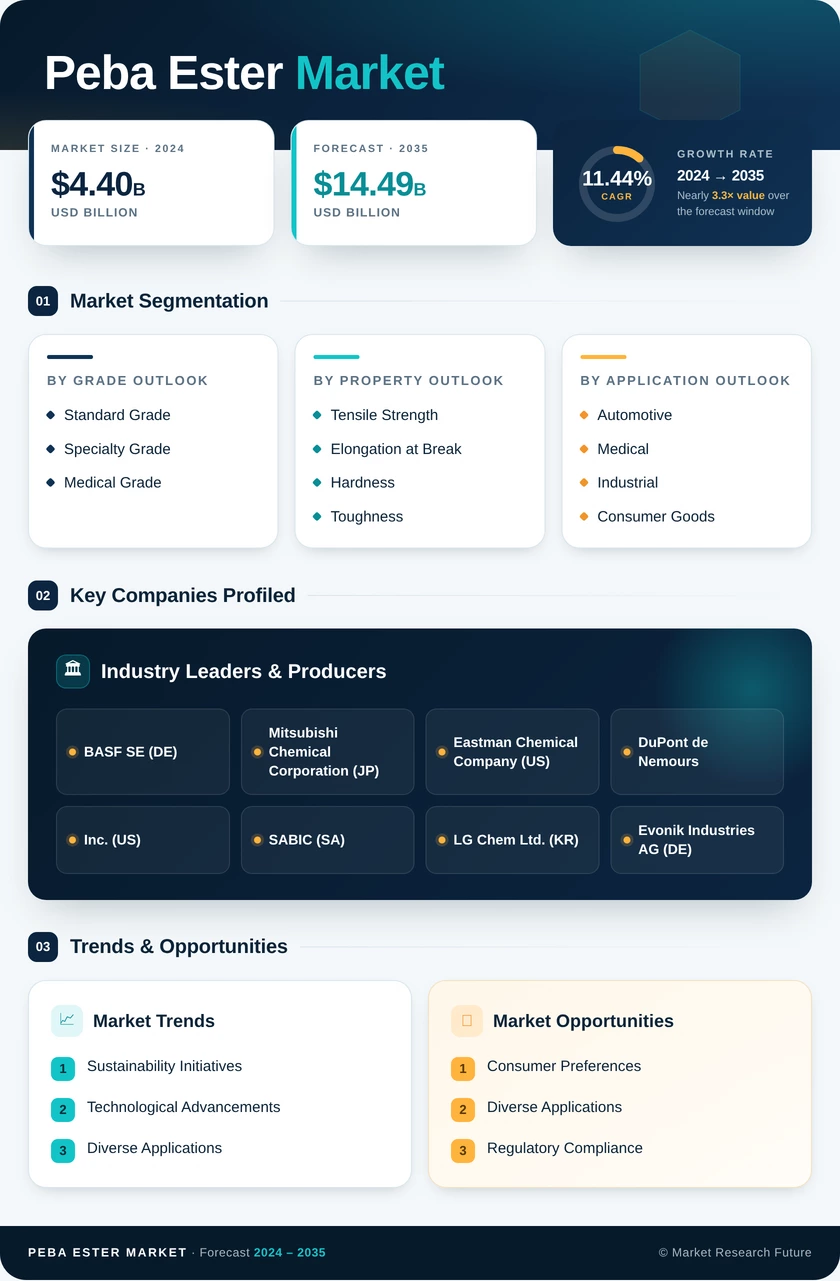 Peba Ester Market Research Report — Global Forecast till 2035 Infographic
