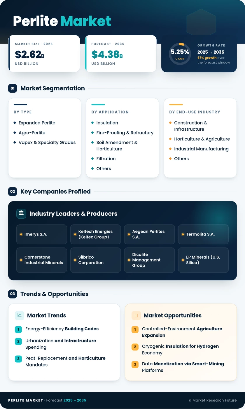 Perlite Market Research Report - Forecast till 2035 Infographic