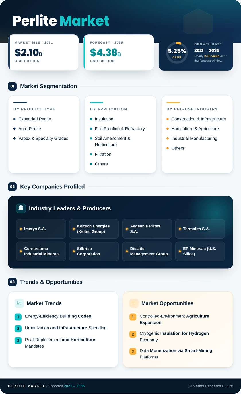 Perlite Market Research Report - Forecast till 2035 Infographic