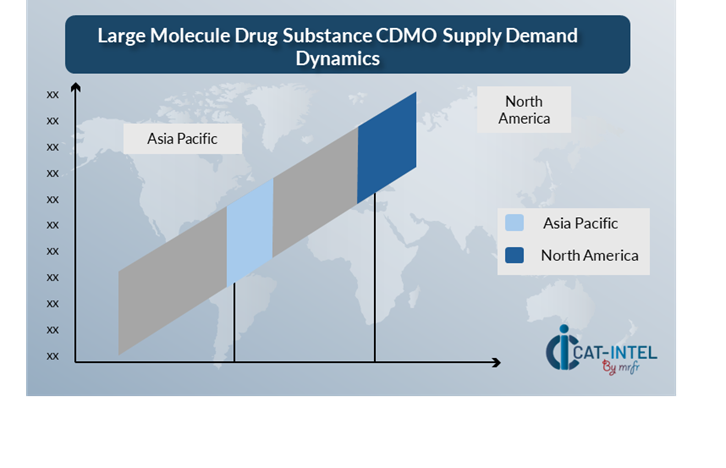 Supply Demand Outlook for Large Molecule Drug Substance CDMO Market (2025-2035)