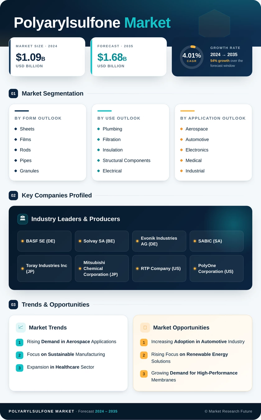 Polyarylsulfone Market Research Report – Forecast to 2035 Infographic