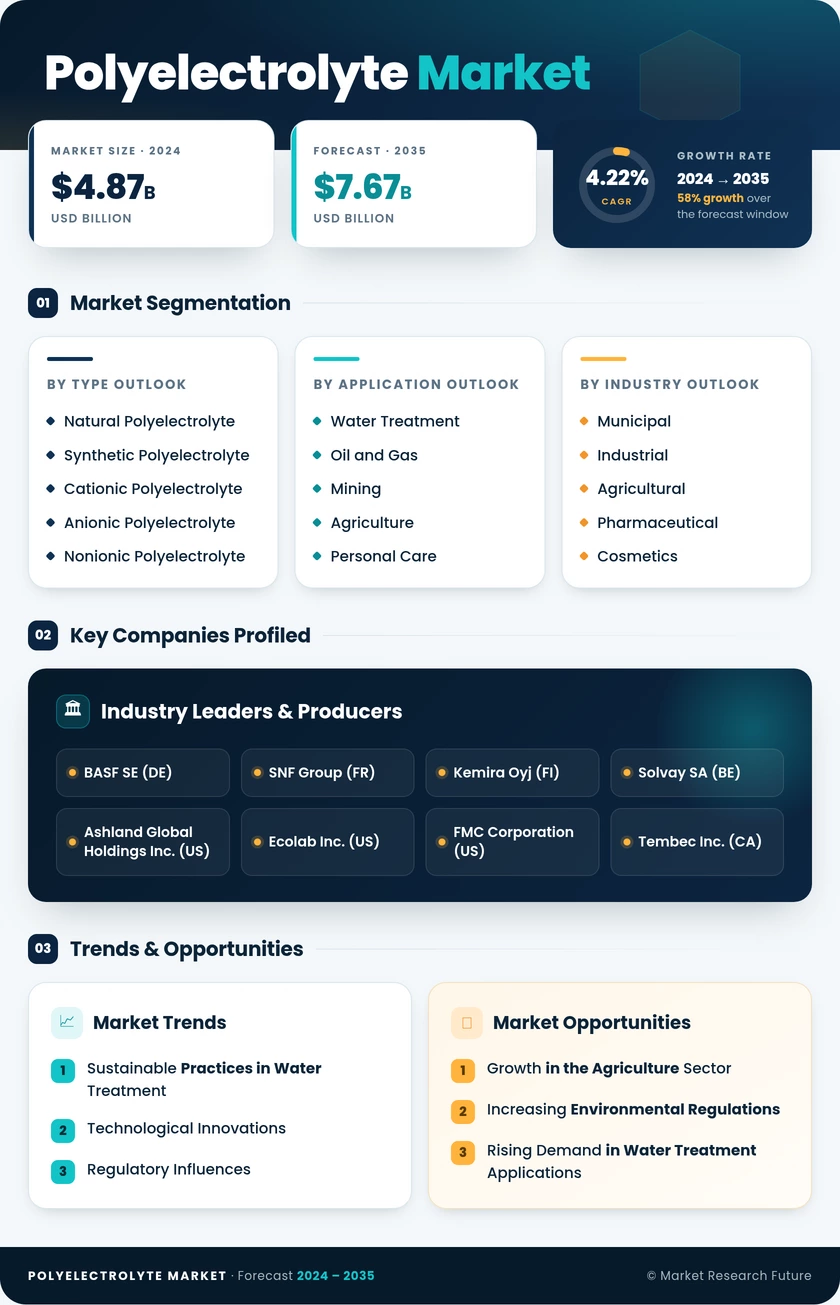 Polyelectrolyte Market Research Report — Global Forecast till 2035 Infographic