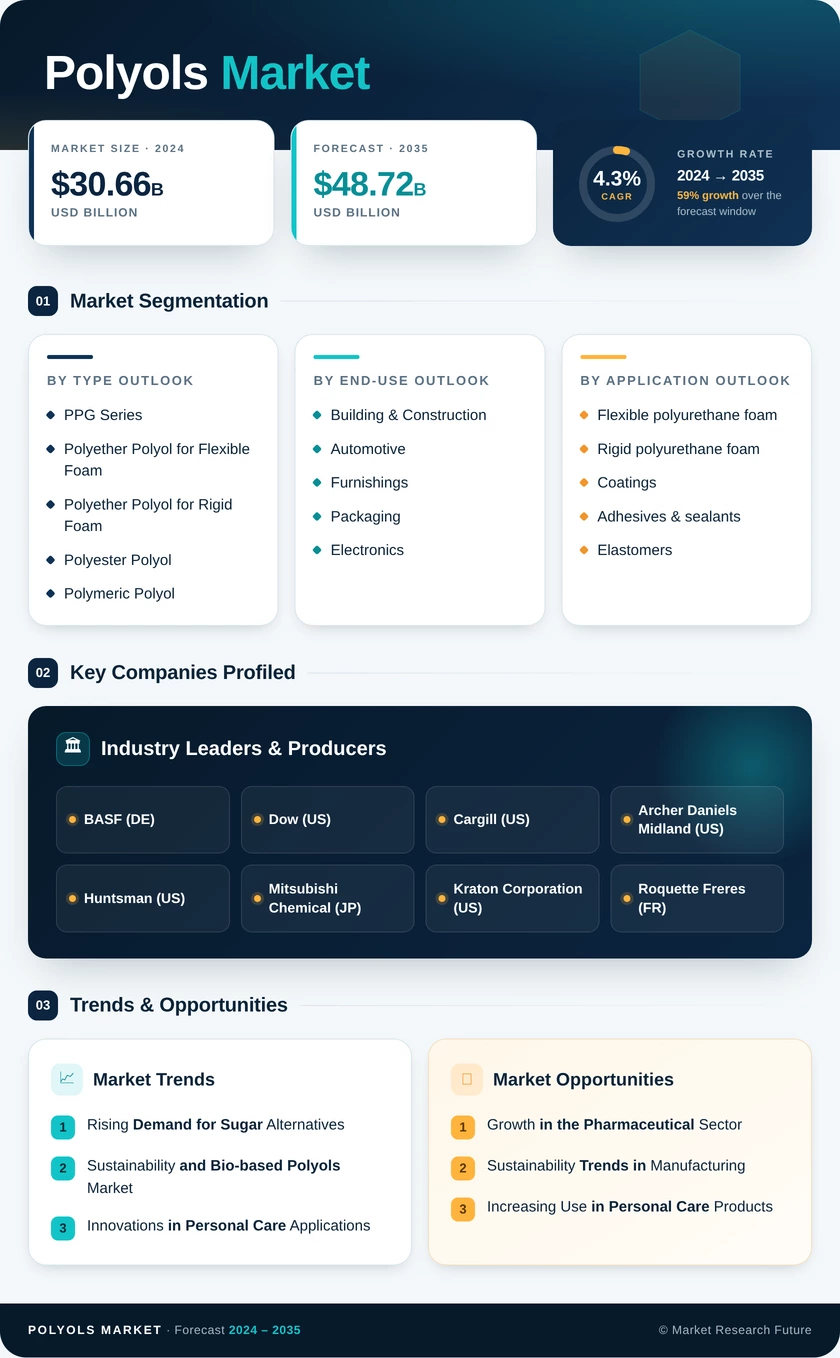 Polyols Market Research Report – Forecast Till 2035 Infographic
