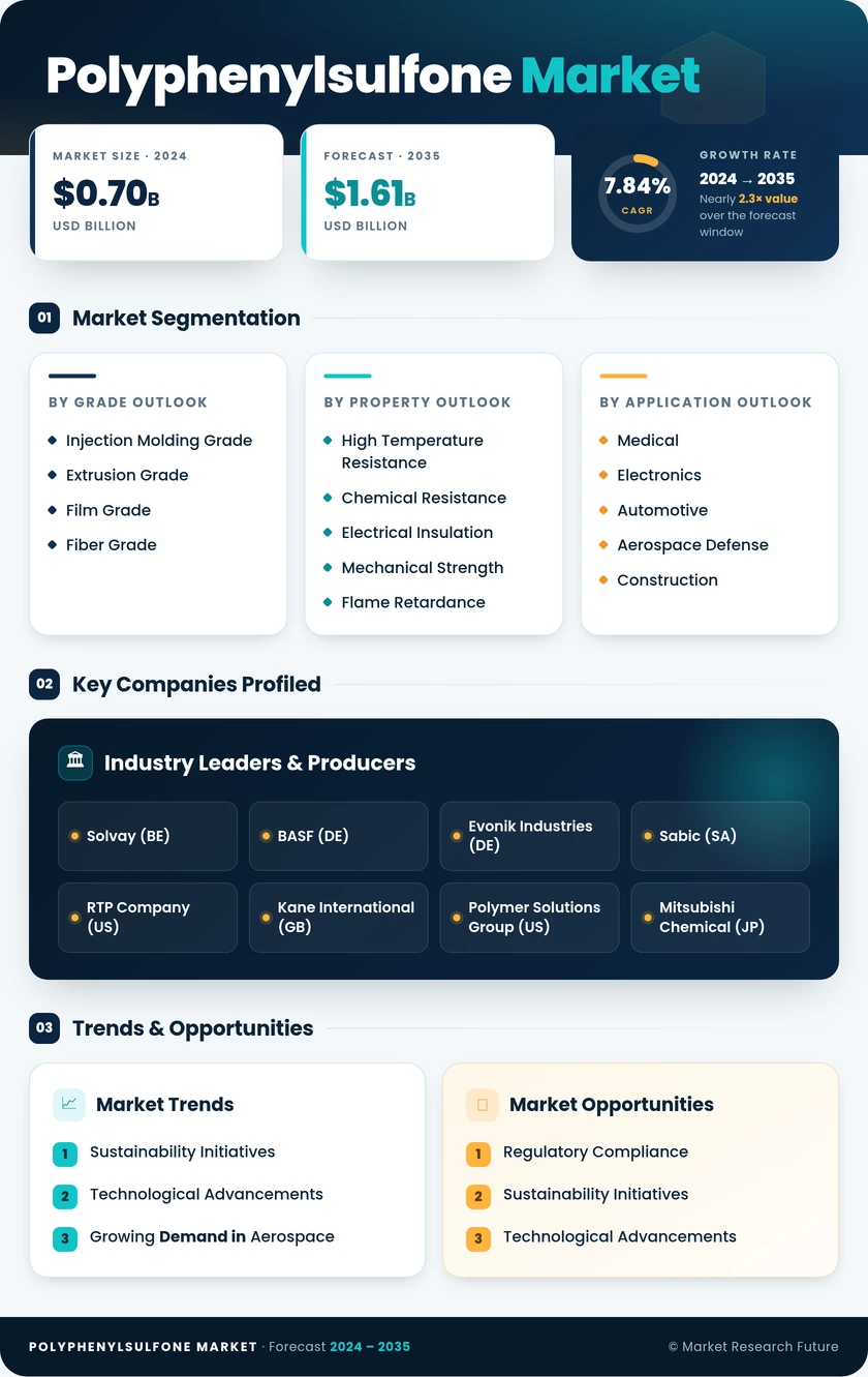 Polyphenylsulfone Market Research Report - Forecast Till 2035 Infographic