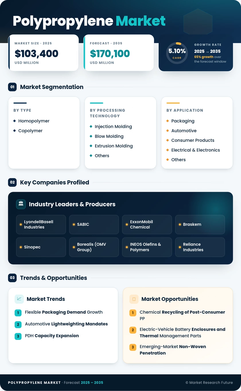 Polypropylene Market Research Report- Forecast to 2030 Infographic