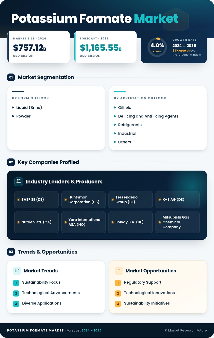 Potassium Formate Market Report - Global Forecast till 2035 Infographic