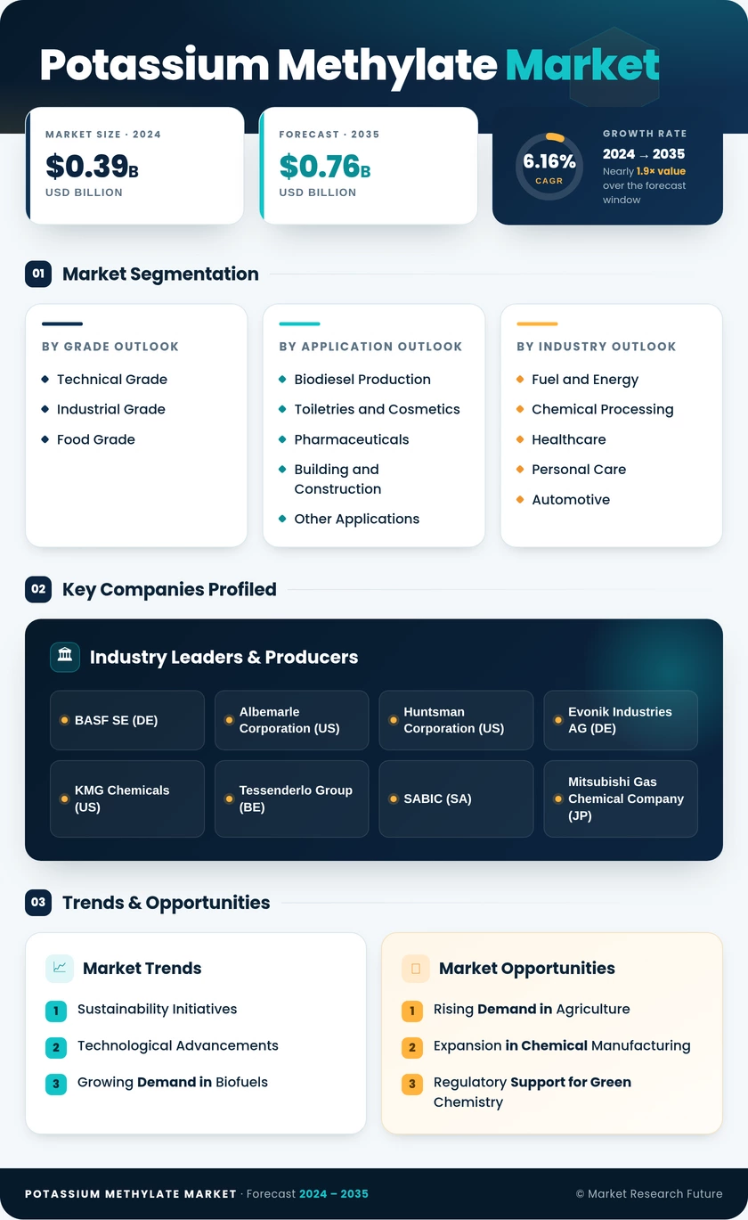 Potassium Methylate Market Research Report- Global Forecast till 2035 Infographic