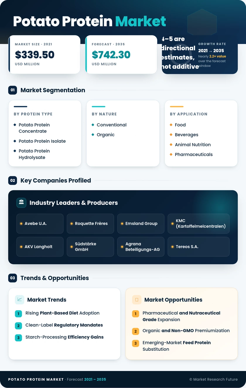 Potato Protein Market Research Report - Forecast till 2035 Infographic