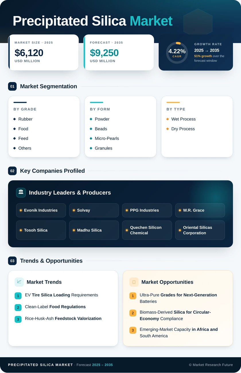 Precipitated Silica Market Research Report – Forecast till 2035 Infographic