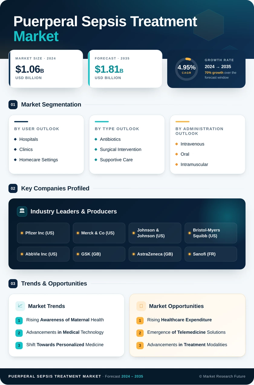 Puerperal Sepsis Treatment Market Research Report - Forecast Till 2035 Infographic