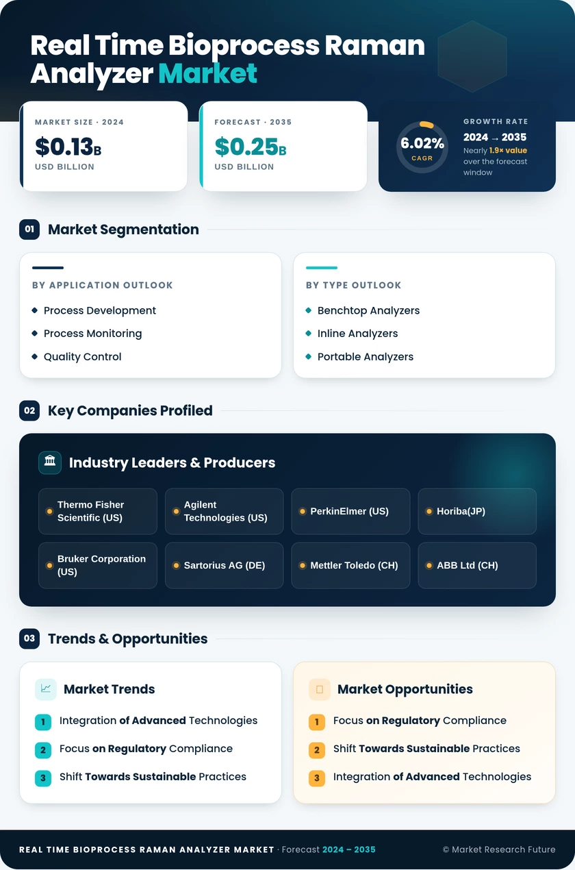 Real Time Bioprocess Raman Analyzer Market Research Report - Forecast 2035 Infographic