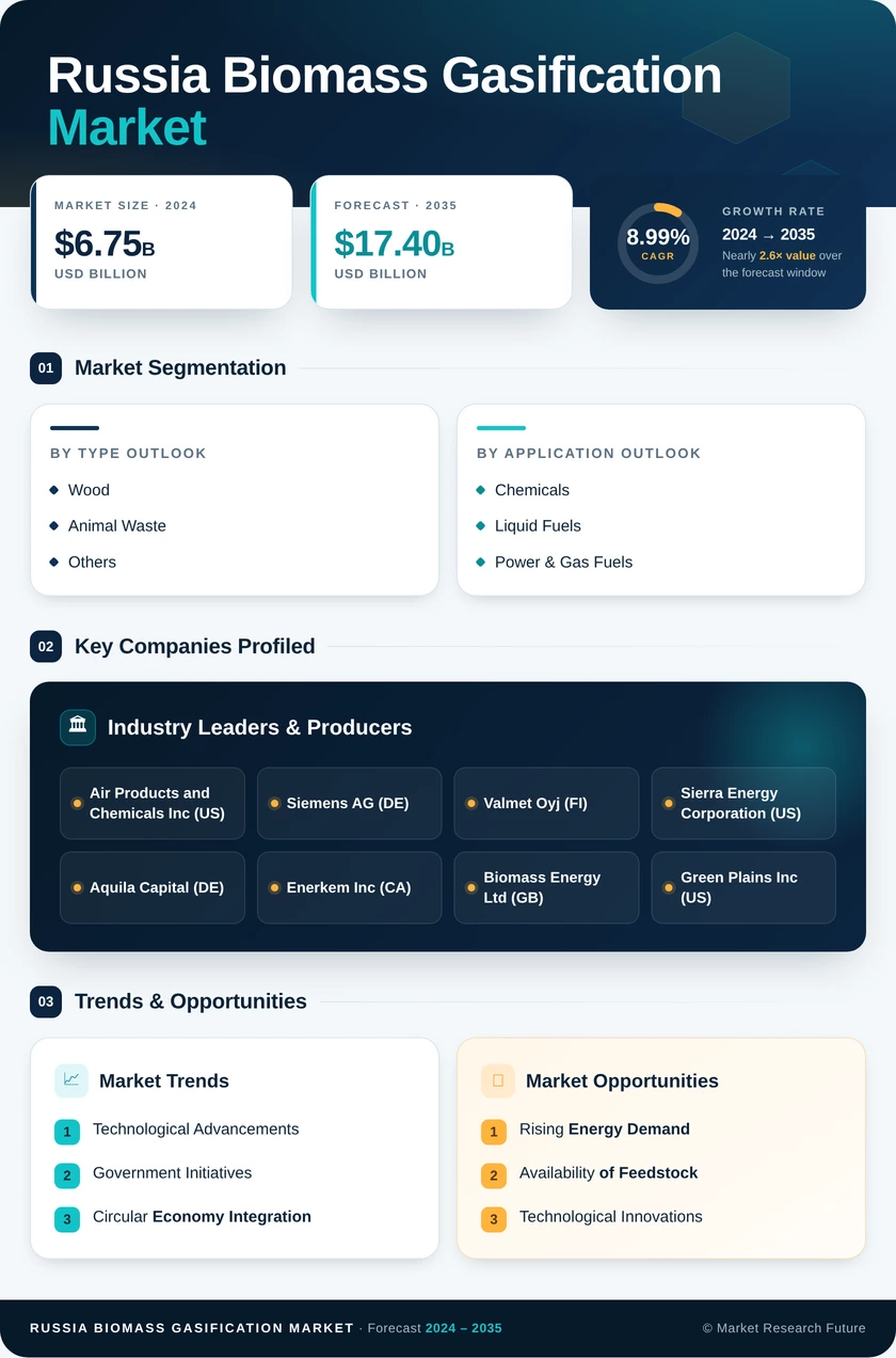 Russia Biomass Gasification Market Research Report - Forecast to 2035 Infographic