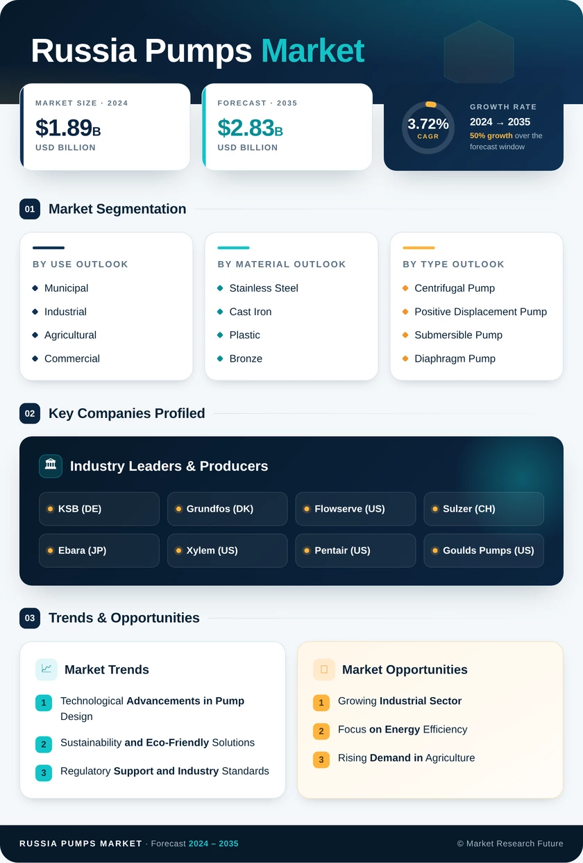 Russia Pumps Market Infographic
