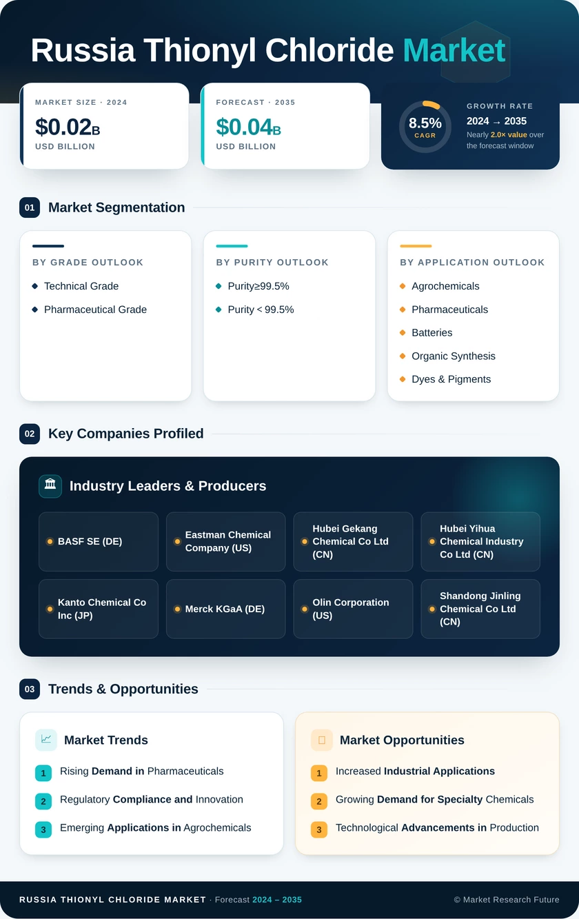 Russia Thionyl Chloride Market Research Report - Forecast by 2035 Infographic
