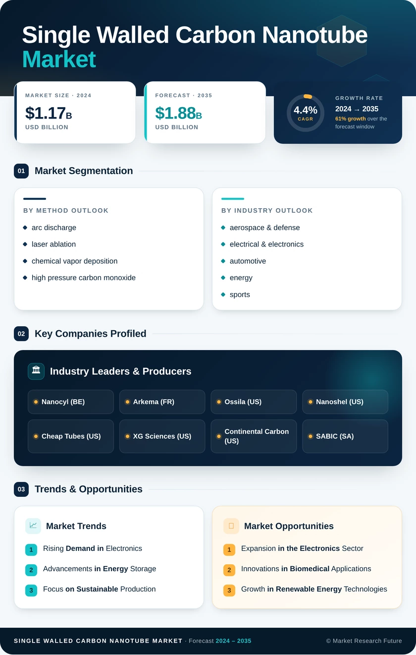 Single-Walled Carbon Nanotube Market Research Report- Forecast to 2035 Infographic