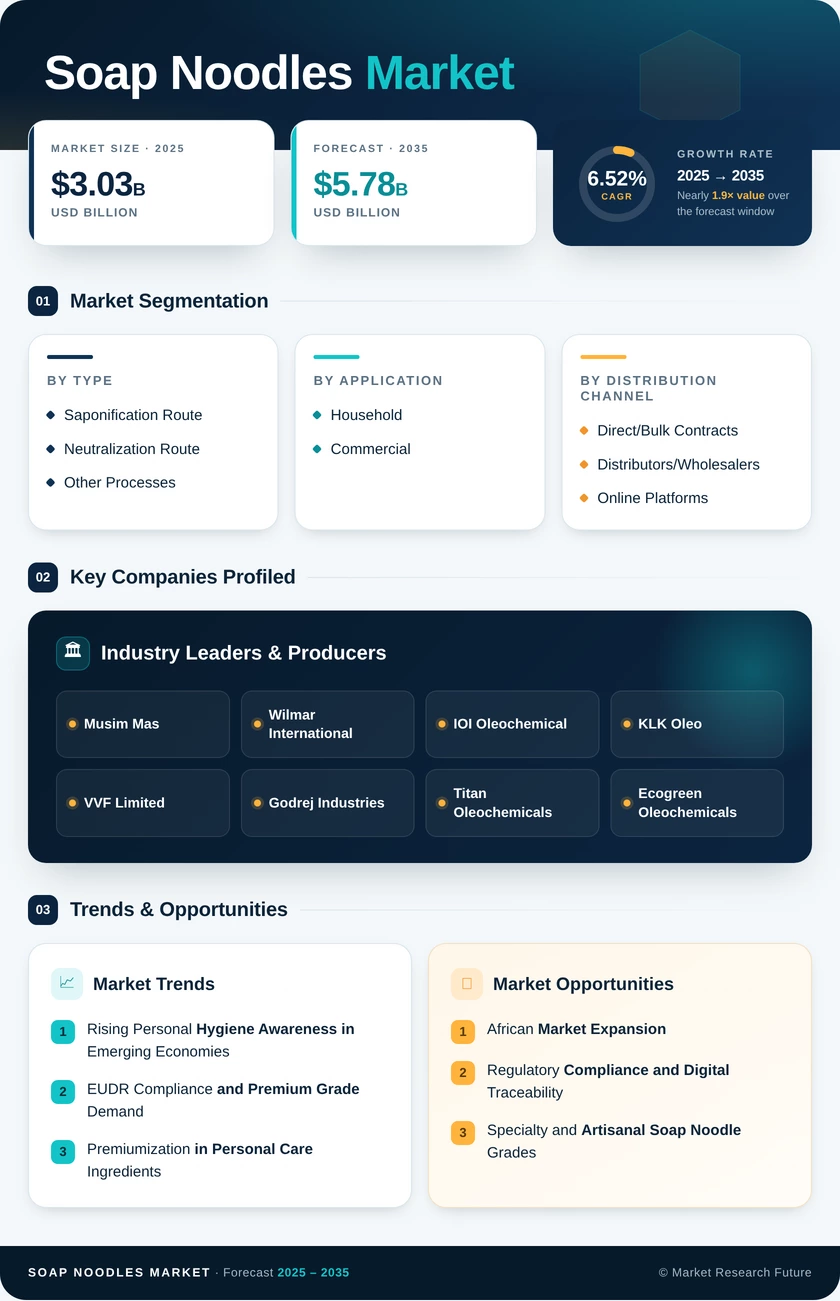 Soap Noodles Market Research Report- Forecast to 2035 Infographic