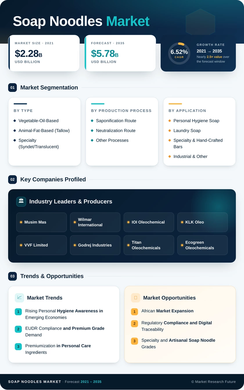 Soap Noodles Market Research Report- Forecast to 2035 Infographic
