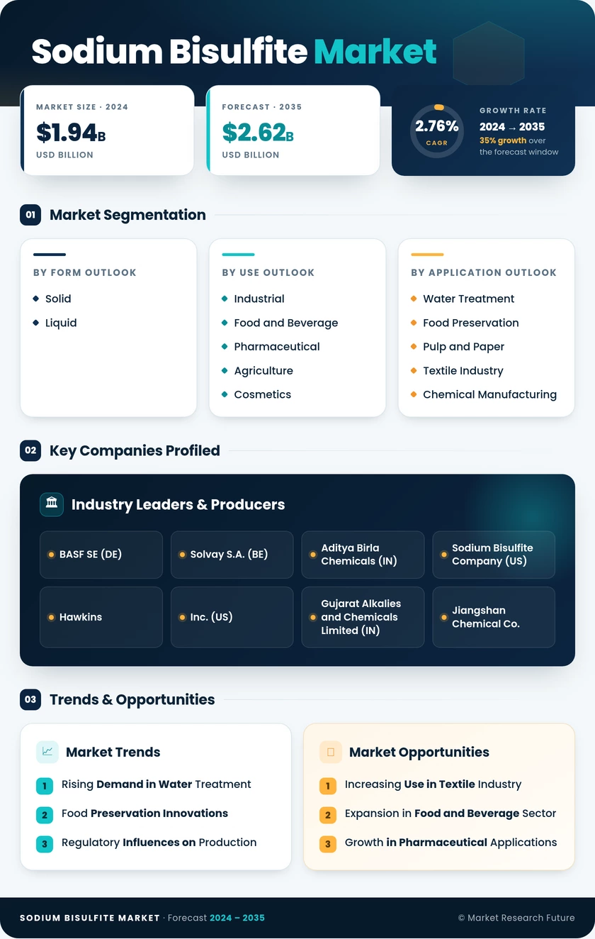 Sodium Bisulfite Market Research Report - Global Forecast by 2035 Infographic