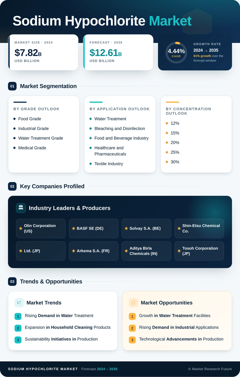 Sodium Hypochlorite Market Research Report — Global Forecast till 2035 Infographic
