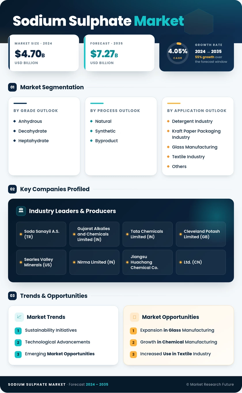 Sodium Sulphate Market Research Report — Global Forecast till 2035 Infographic