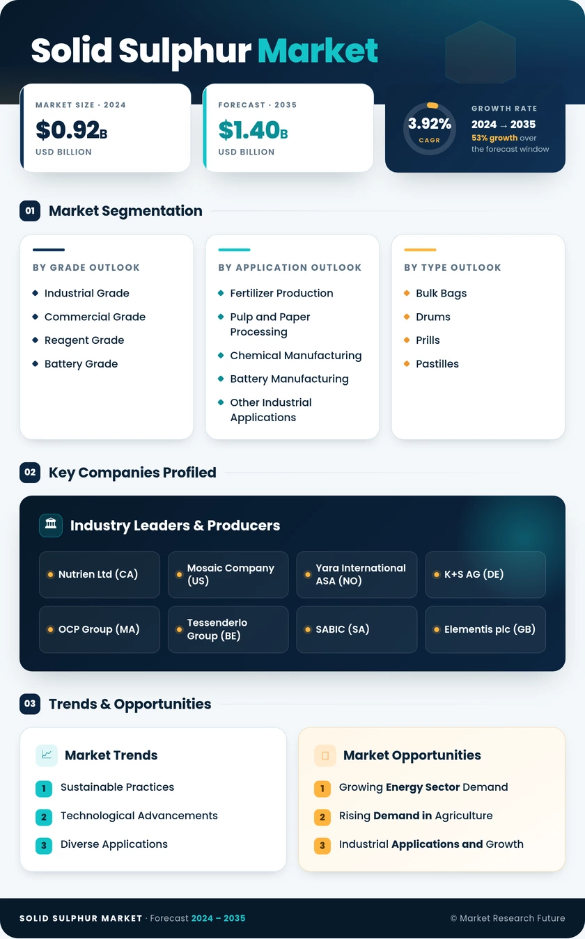 Solid Sulphur Market Research Report - Forecast Till 2035 Infographic