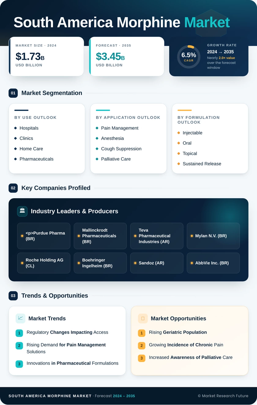 South America Morphine Market Infographic