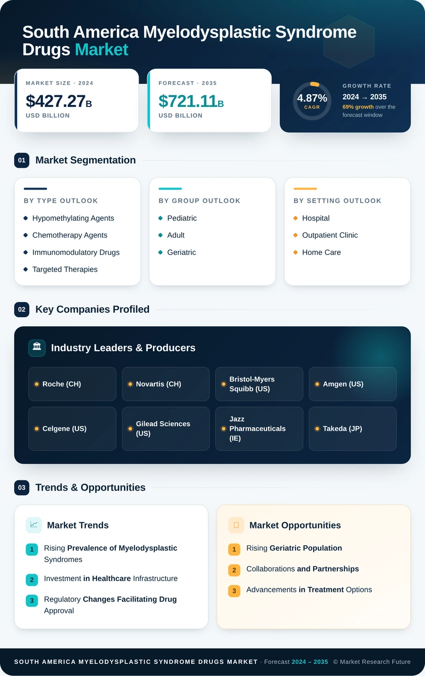 South America Myelodysplastic Syndrome Drugs Market Research Report - Forecast to 2035 Infographic