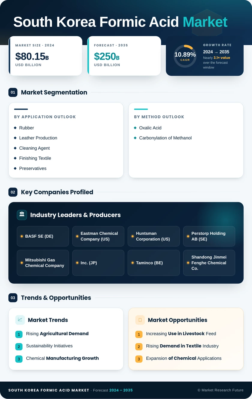 South Korea Formic Acid Market Research Report- Forecast to 2035 Infographic