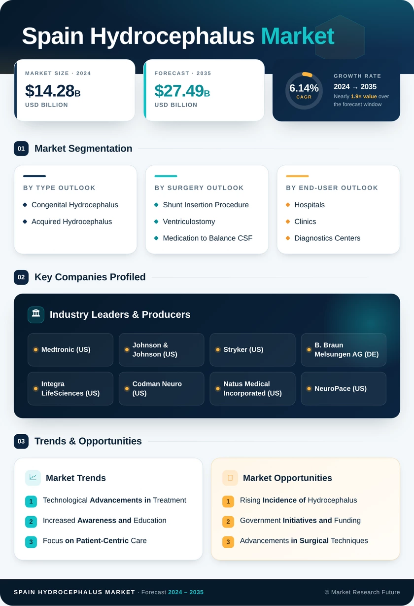 Spain Hydrocephalus Market Research Report- Forecast to 2035 Infographic