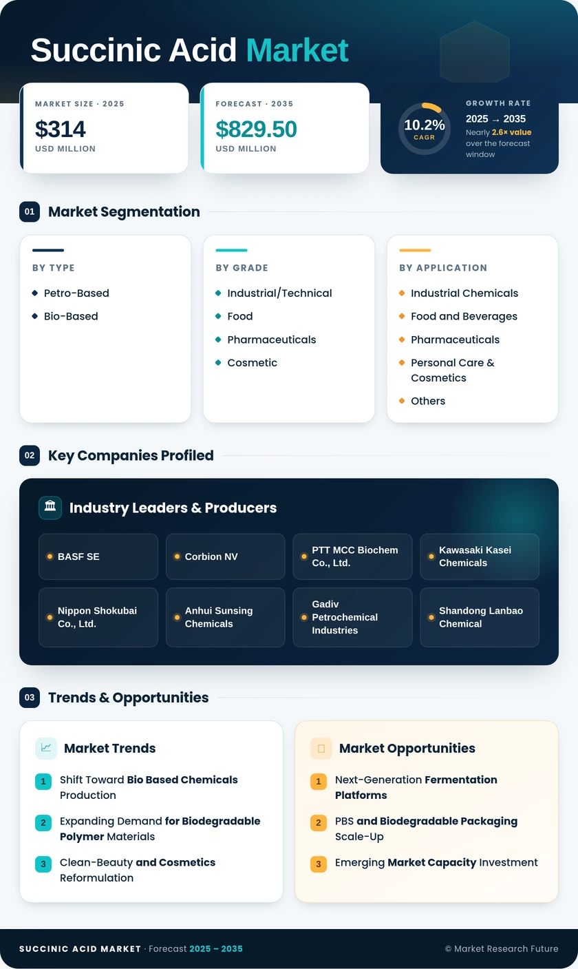 Succinic Acid Market Research Report - Forecast by 2035 Infographic