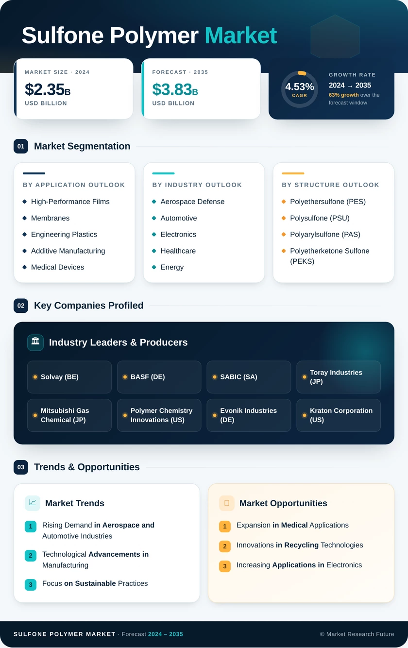 Sulfone Polymer Market Research Report – Forecast till 2035 Infographic
