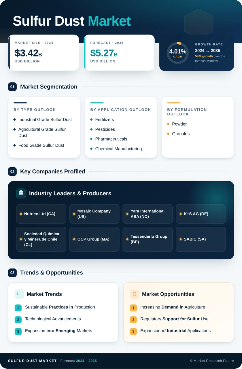 Sulfur Dust Market Research Report — Global Forecast till 2035 Infographic