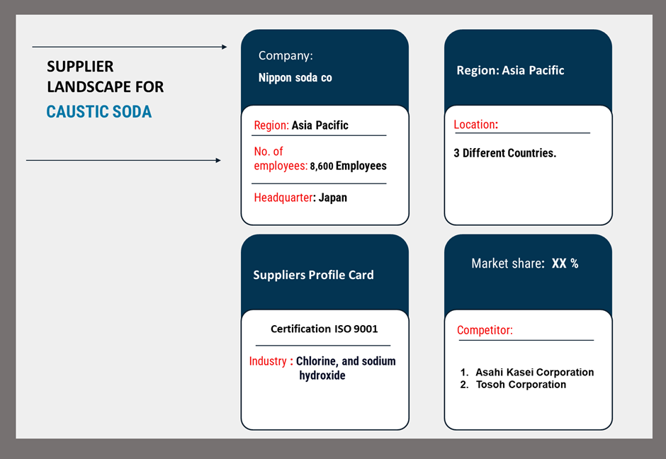 supplier landscape in the caustic soda market
