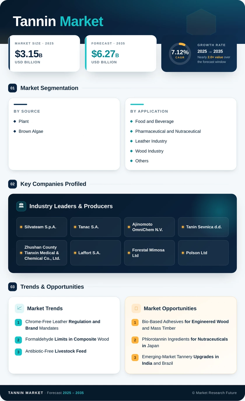 Tannin Market Infographic